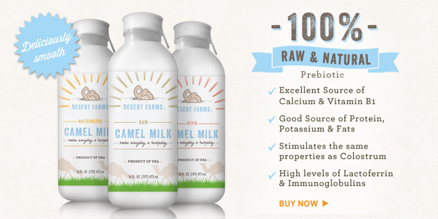 camel milk is nature most wholesome dairy beverage