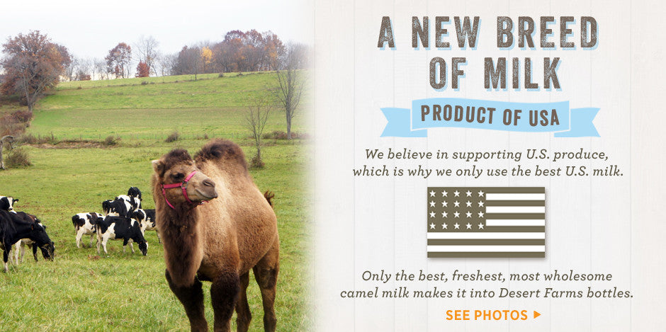 Camel milk is a product of USA
